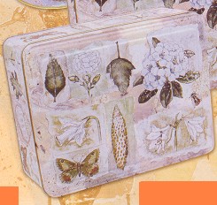 NATURE TRAIL SQUARE BISCUIT TIN