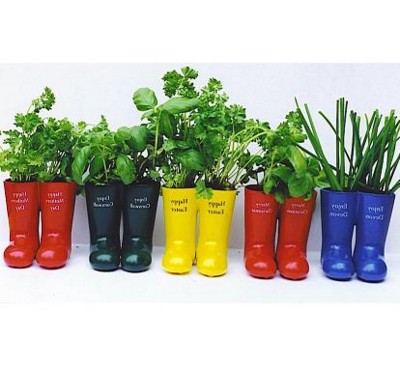 WELLY WELLINGTON BOOT HERB PLANT POT